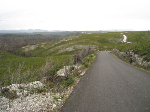 photograph of a winding road